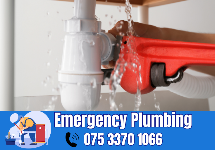  plumber Strood