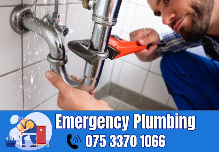  plumber Frindsbury